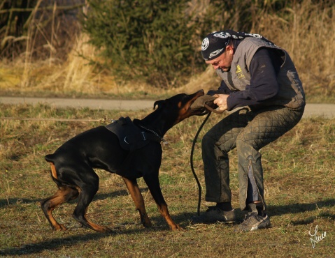 The christmas training 27.12.2006